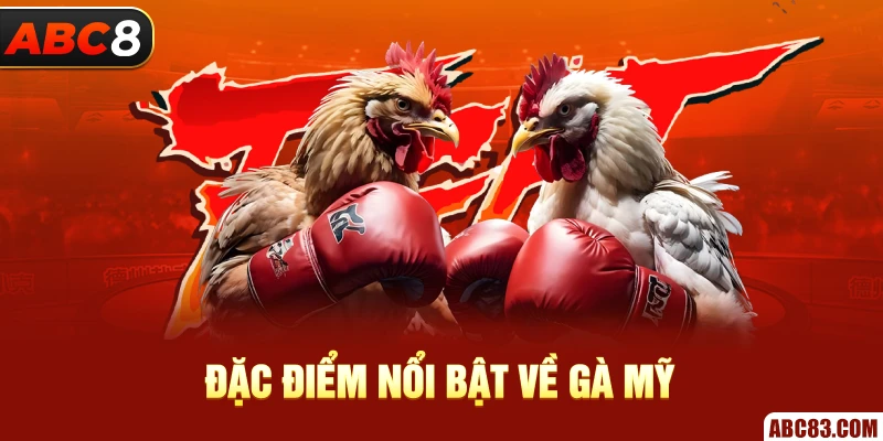 Bí Quyết Chọn Gà Mỹ ABC8 Bách Phát Bách Thắng Đặc điểm nổi bật về gà mỹ